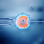 Embriología: perfil y plan de estudios